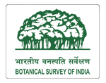 Central National Herbarium